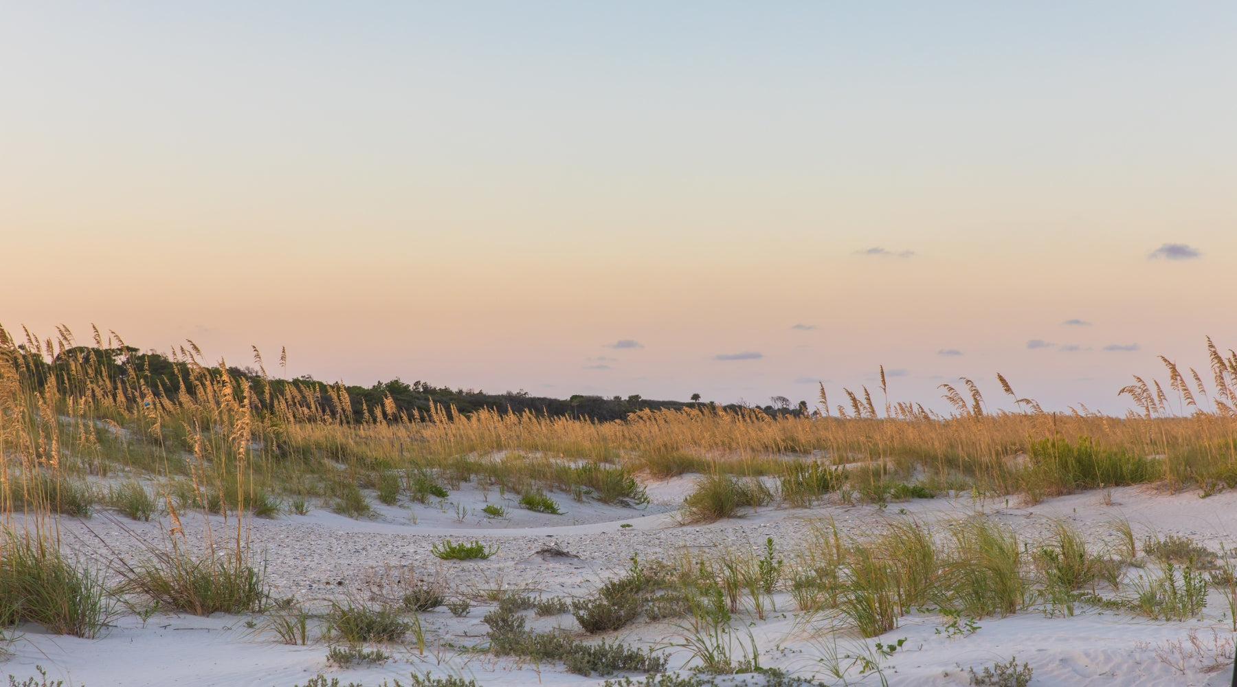 Why Fall Might Be the Best Time to Visit Amelia Island