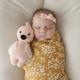 Assorted Baby Cuddle + Kind Collection