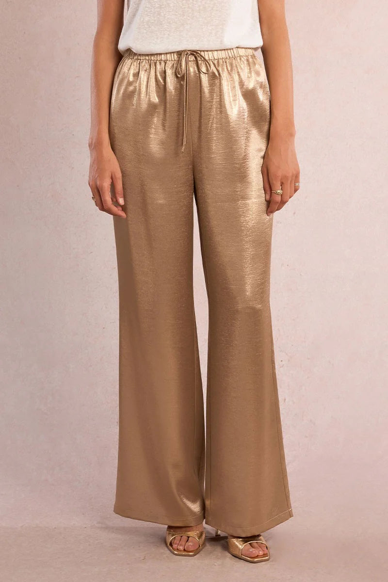 Zara Golden Pants