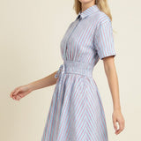 Striped A-Line Button Down Mini Dress