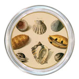 Glass Decoupage Coasters