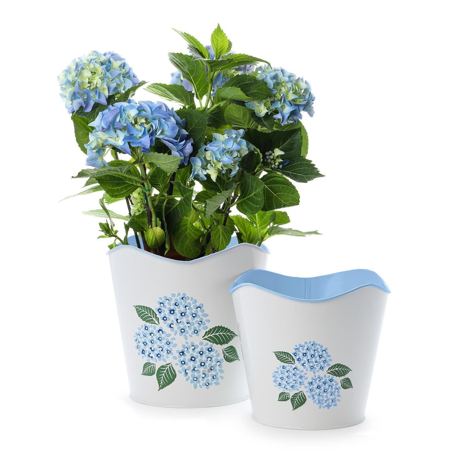 Hydrangea Flower Cachepot