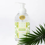 15oz Foaming Handwash