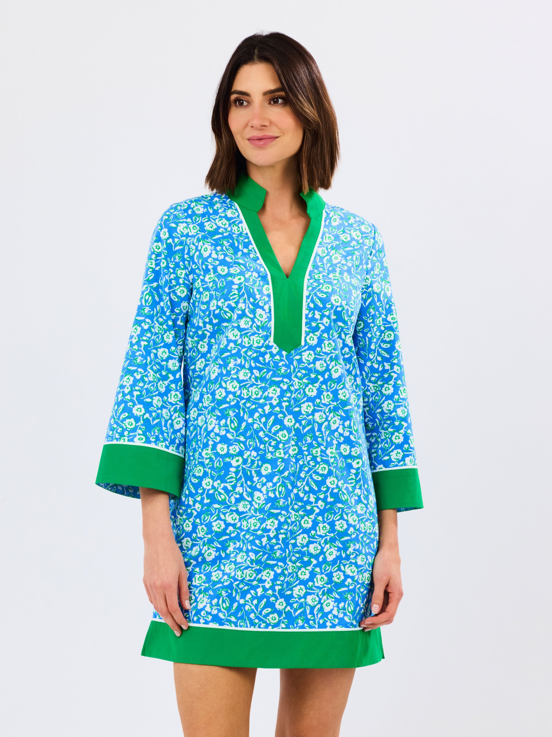 Brenda Meadow Line Dress