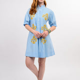 Lucia Embroidered Mini Dress