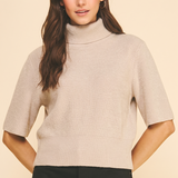 Cleo Turtle Neck Sweater