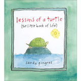 Lessons of a Turtle