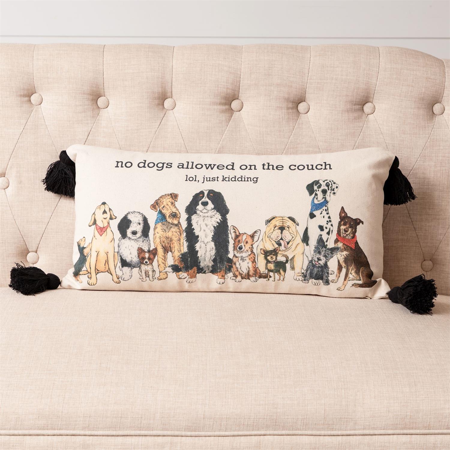 No Dogs on Couch Pillow