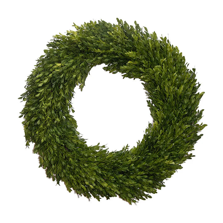 Fig and Dove 24" Boxwood Wreath