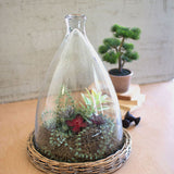 Large Glass Cloche with Wicker Base