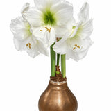 White Flower Teak Lacquer Base