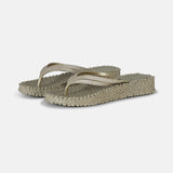 Flip Flop on Platform Sole
