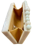 Nima Acrylic Box Clutch