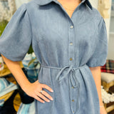 Lena Puff Sleeve Dress