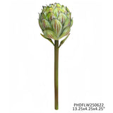 Green Artichoke Stem
