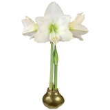 White Flower Gold Lacquer Base