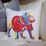 Collegiate Throw Pillows