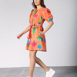 Skyla Dress